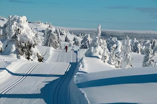 Fantastic And High Standard Apartment In Nordseter Lillehammer Exterior foto